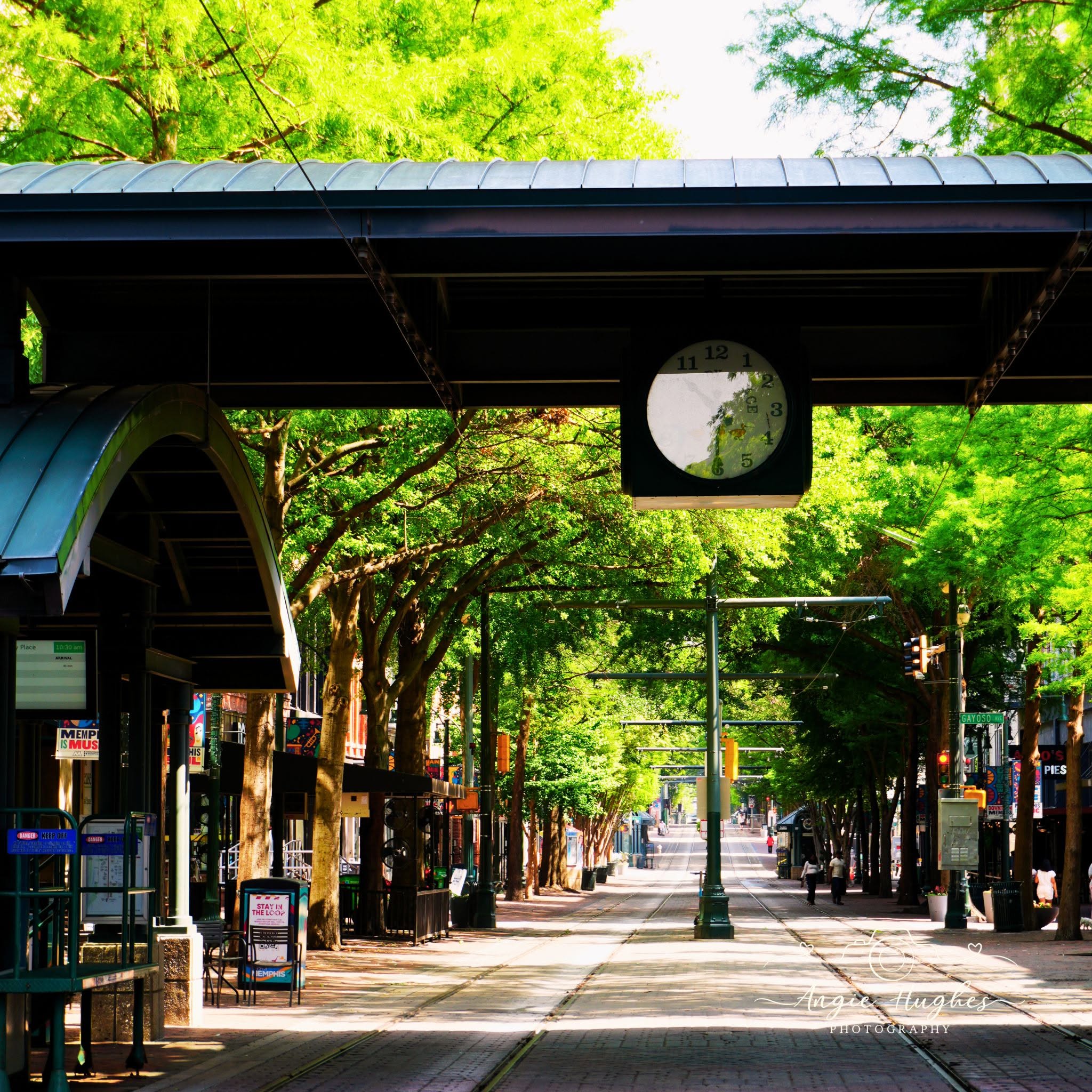 Memphis Main Street Mall with lush green trees and trolley tracks